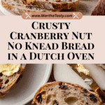 Crusty Cranberry Nut No Knead Bread Recipe