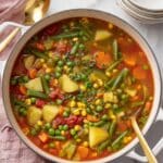 Hearty Homemade Vegetable Soup Recipe