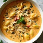Creamy Sun-Dried Tomato Chicken Soup Recipe