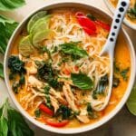 Thai Chicken Curry Soup Recipe