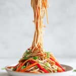 Stir Fry Noodles with Chicken Recipe