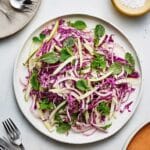 Red Cabbage and Apple Slaw Recipe