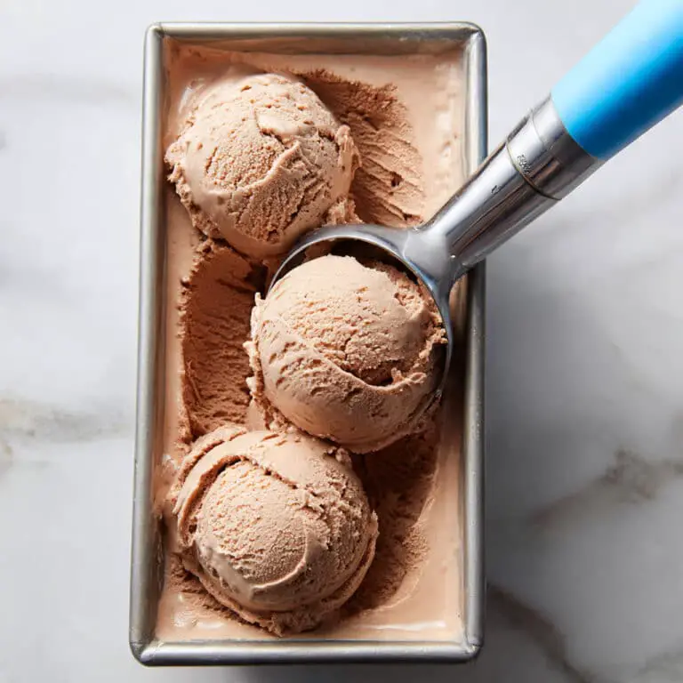 Dairy-Free Chocolate Coconut Ice Cream Recipe