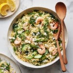 Shrimp Orzo Pasta Salad Recipe