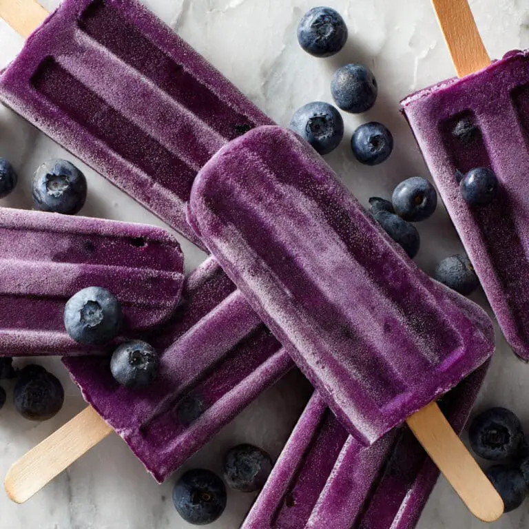 Blueberry Coconut Milk Popsicles Recipe
