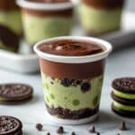 Mint Chocolate Chip Mini Cheesecakes Recipe
