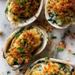 Clams Oreganata Recipe