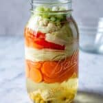 Gut Shot Fermentation Recipe