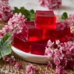 Layered Flowering Currant Jelly Dessert Recipe