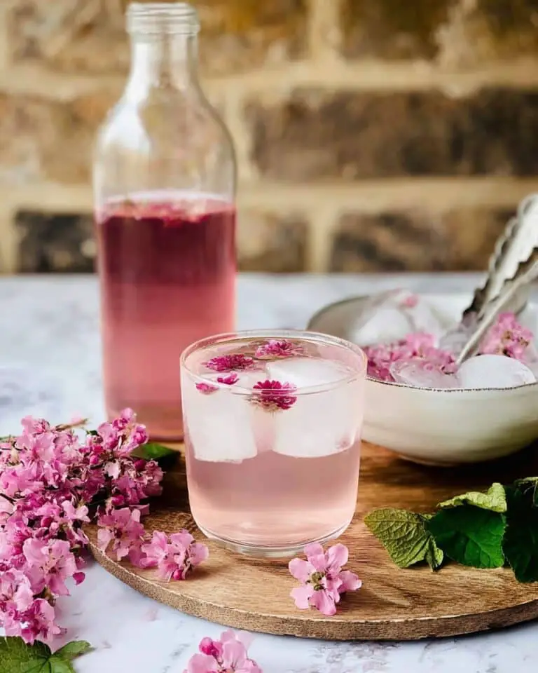 Flowering Currant Cordial Recipe
