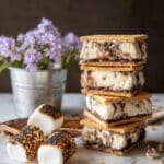 Toasted S'mores Ice Cream Sandwiches Recipe