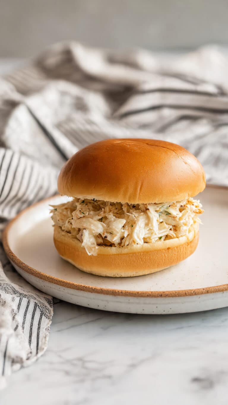 Shredded Chicken Sandwiches Recipe