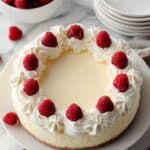 3 Ingredient No Bake Yogurt Cheesecake Recipe