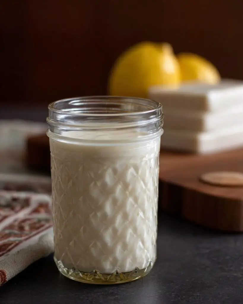 Creamy Rich Cashew Mayo Recipe