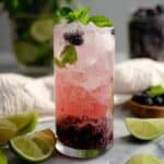 Blueberry Mojito Mocktail Recipe