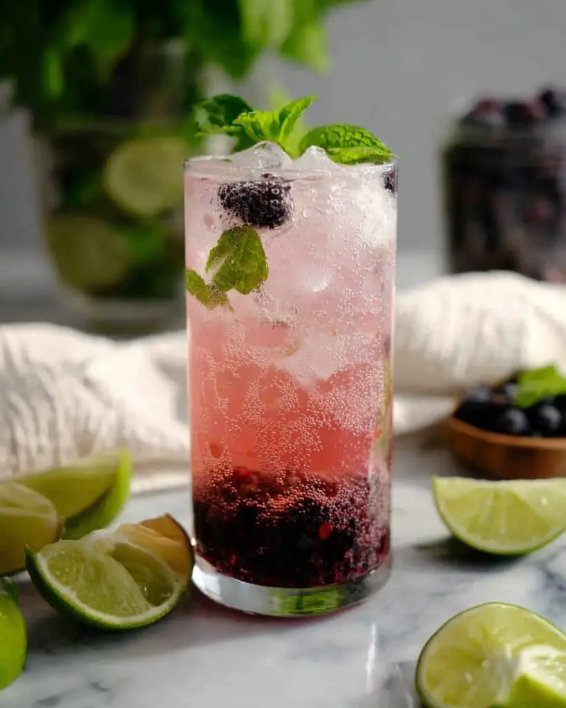 Blueberry Mojito Mocktail Recipe