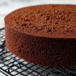 Chocolate Sponge Cake (Chocolate Genoise) Recipe