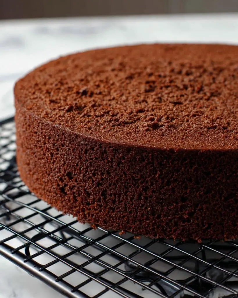 Chocolate Sponge Cake (Chocolate Genoise) Recipe