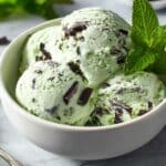 Mint Chocolate Chip Ice Cream Recipe