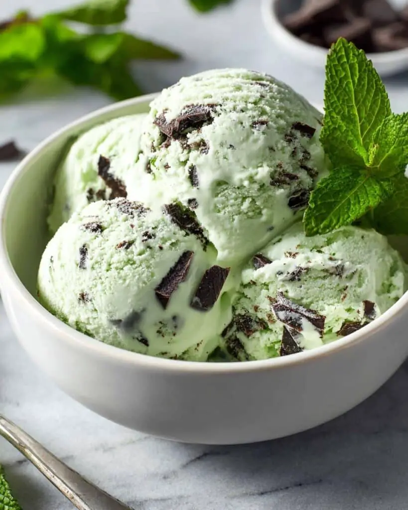 Mint Chocolate Chip Ice Cream Recipe