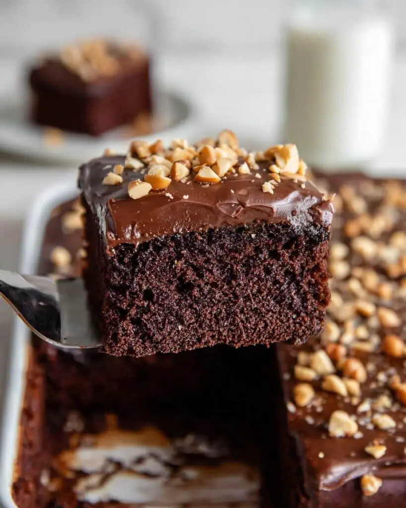Chocolate Peanut Butter Cake Recipe