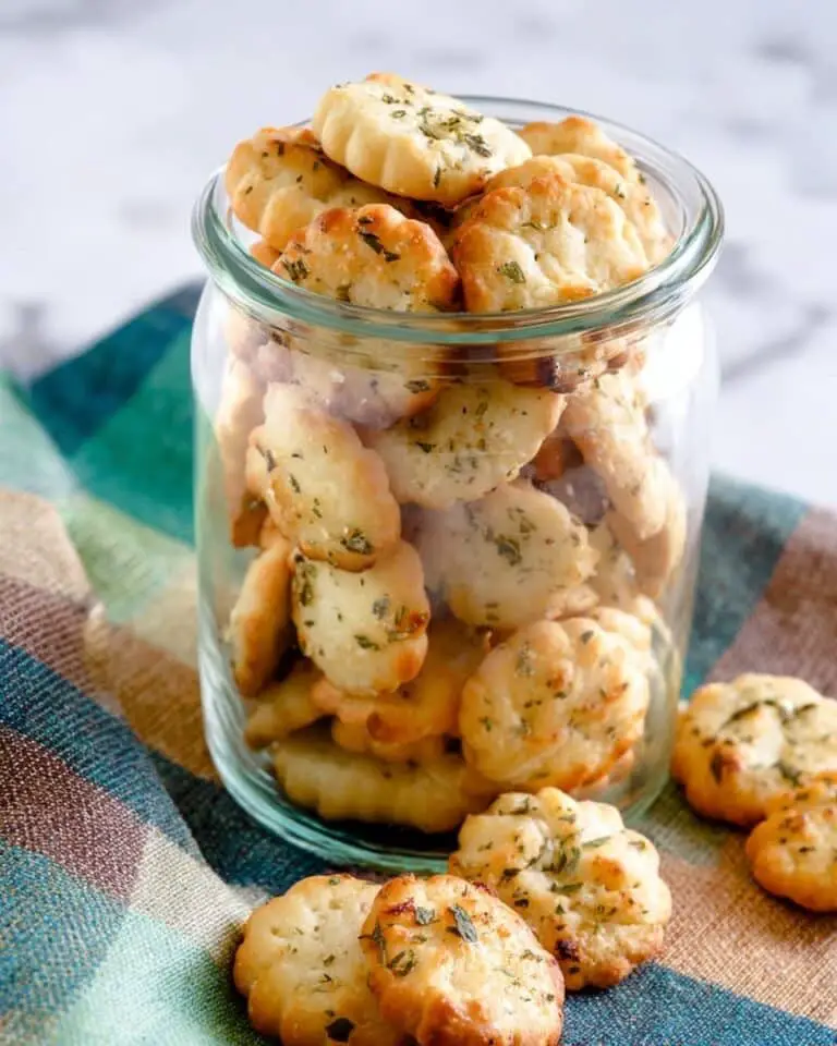 Seasoned Oyster Crackers Recipe